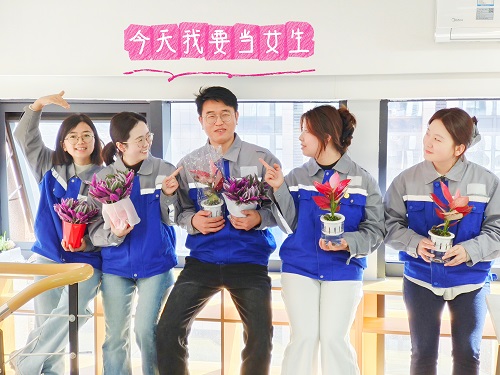 春風十里，不如職場有你——致安卓最美的你